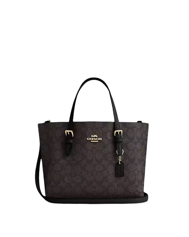 COACH MOLLIE BAG