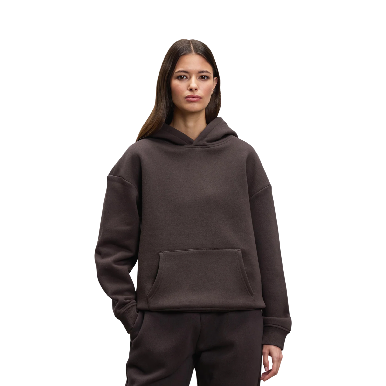 ARNE RELAXED HOODIE BROWN