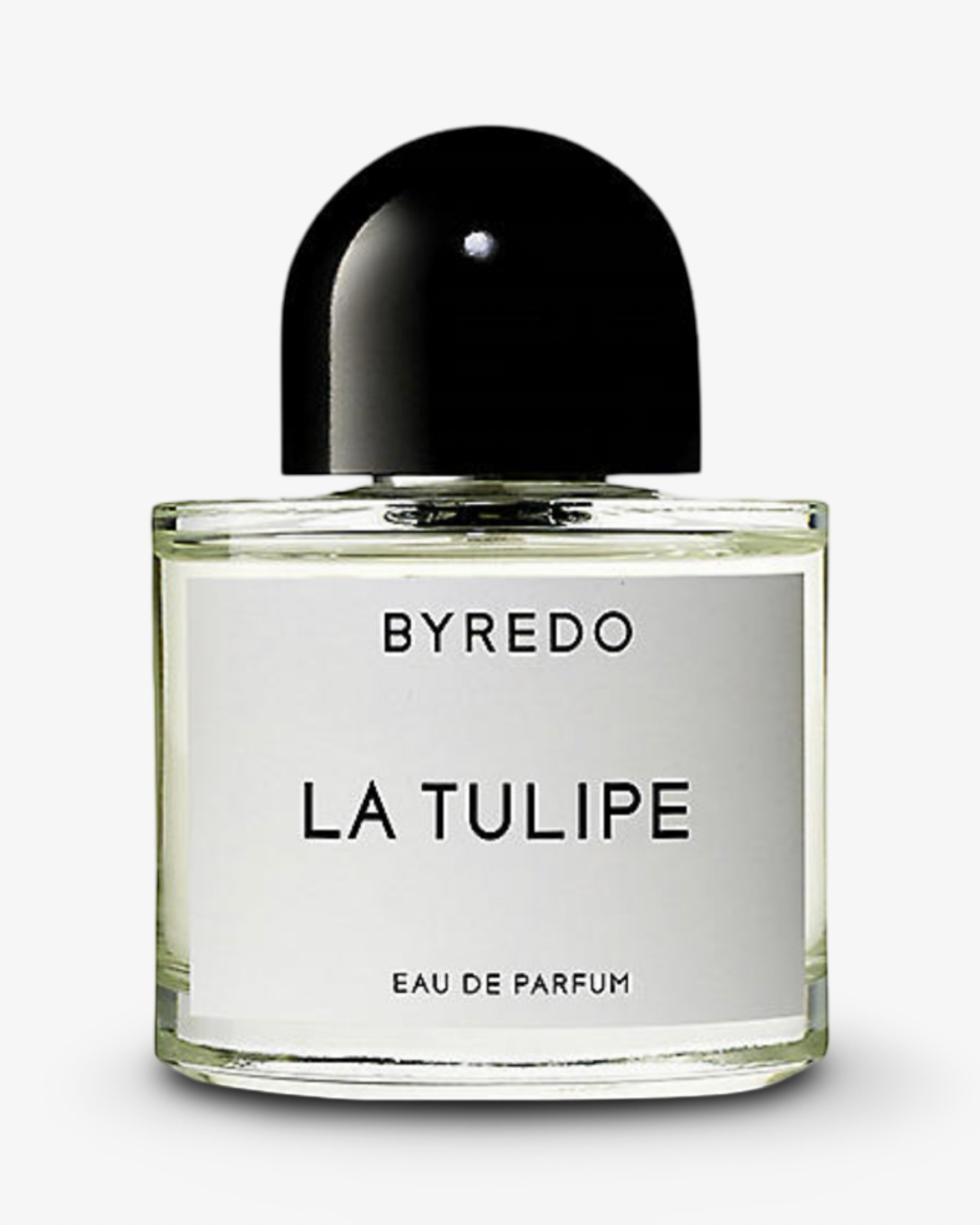 BYREDO LA TULIPE
