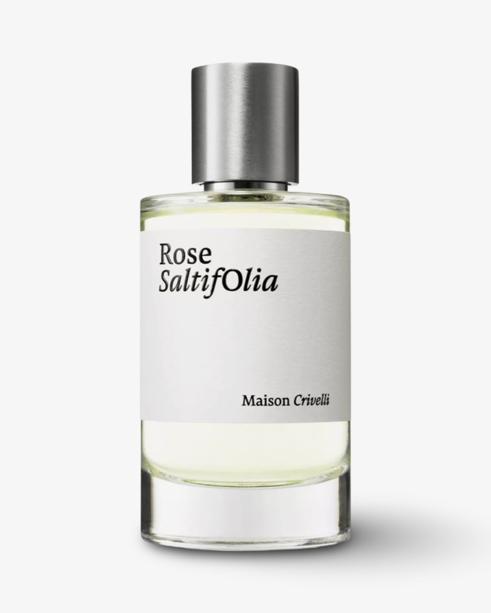 MAISON CRIVELLI ROSE SALTIFOLIA