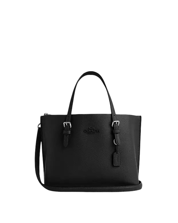 COACH MOLLIE BAG