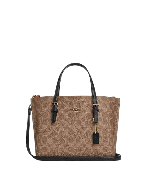 COACH MOLLIE BAG