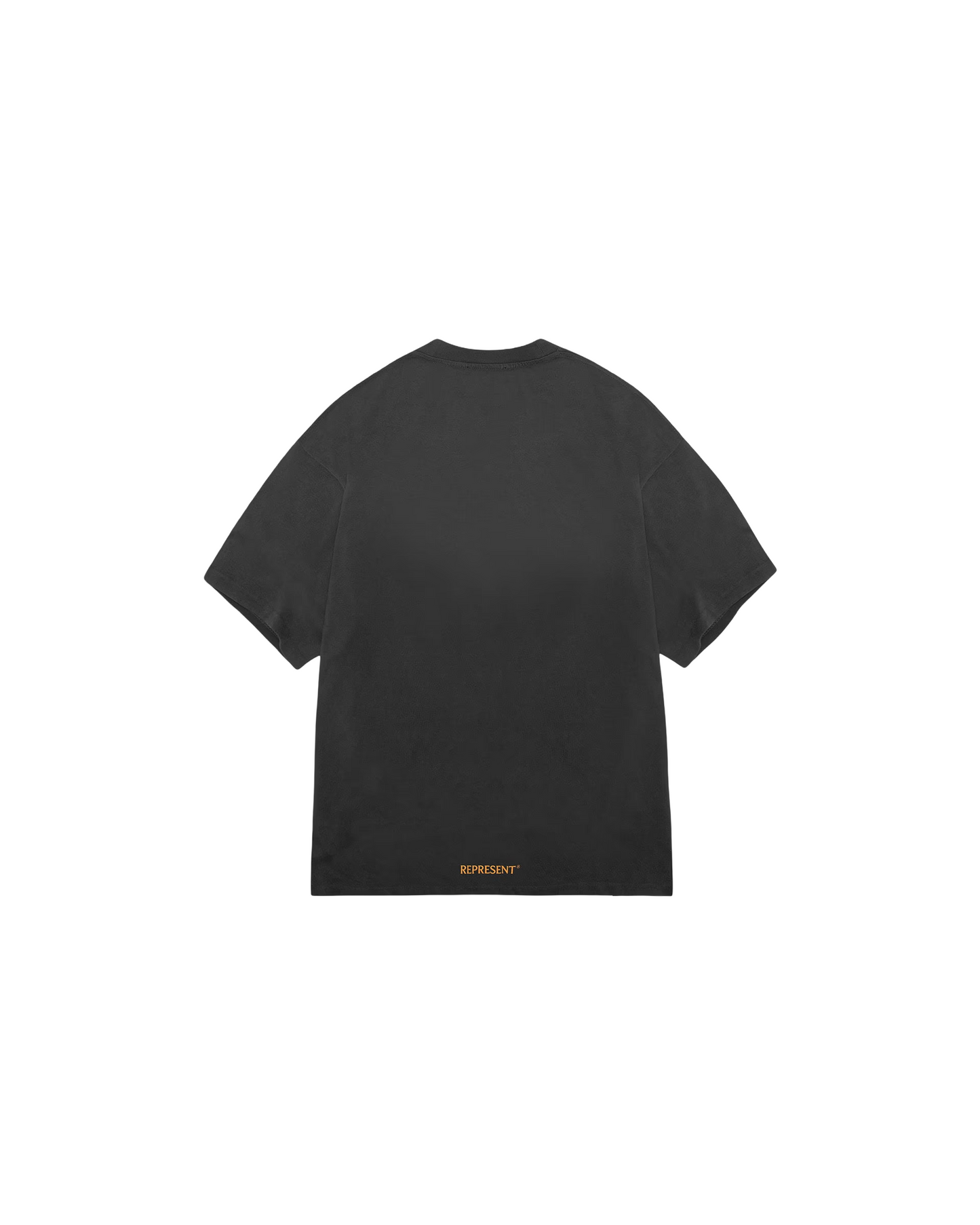 REPRESENT HIGHER TRUTH T-SHIRT