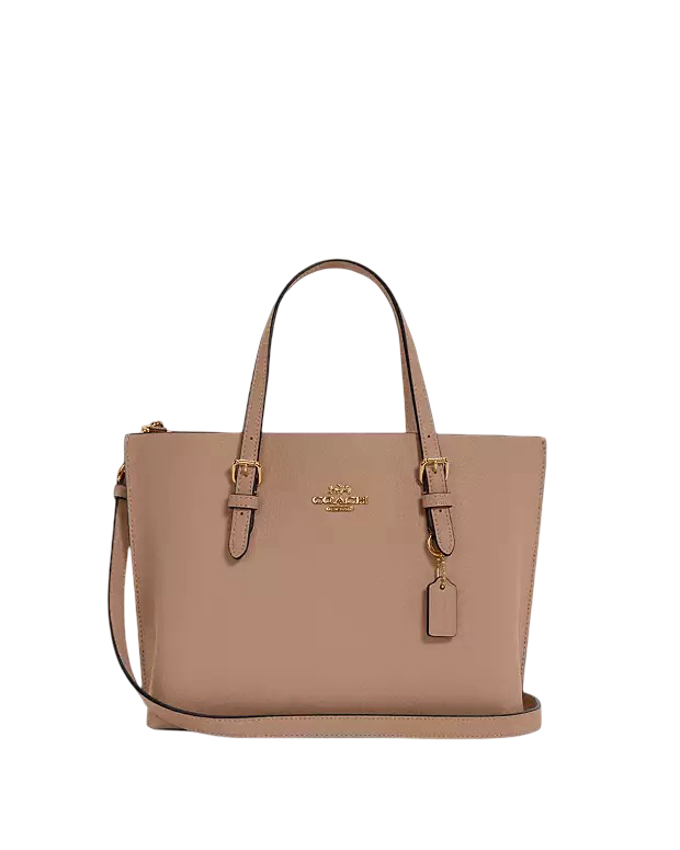 COACH MOLLIE BAG