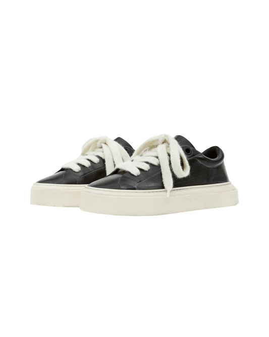 COLE BUXTON WILSON TRAINER